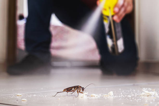 Pest Control Cost in Cutten, CA