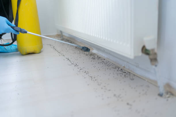 Best Best Pest Control Companies  in Cutten, CA