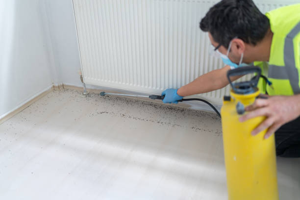 Trusted Cutten, CA Pest Control Experts